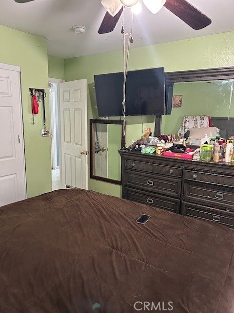 Picture 14