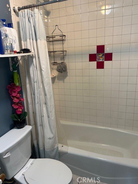 Picture 16