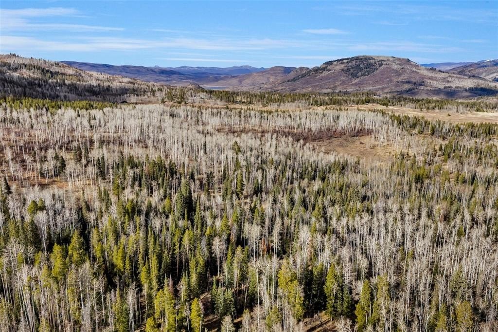 Mountain Land Near National Forest