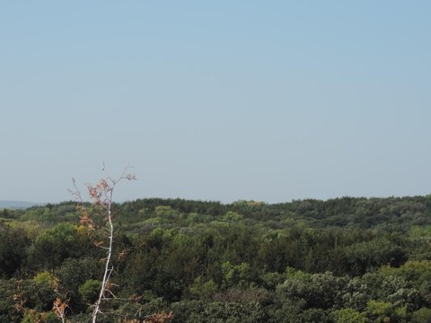 Land Near Lewis and Clark Lake