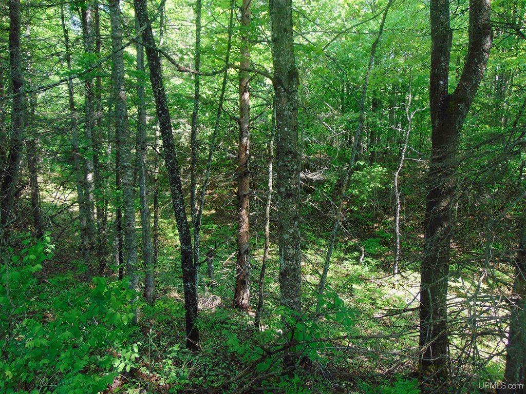 Picture 13