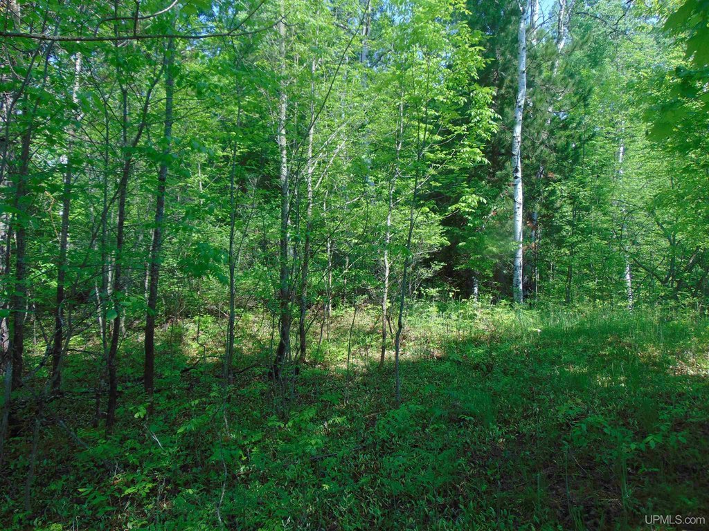 Picture 9