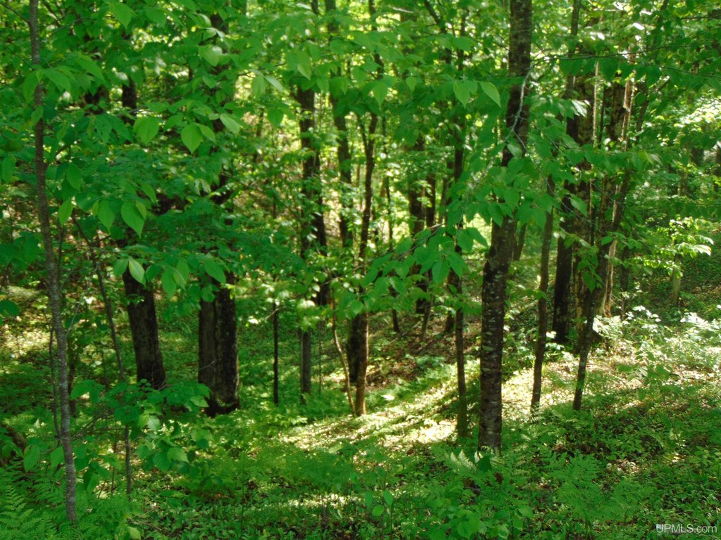 Picture 19