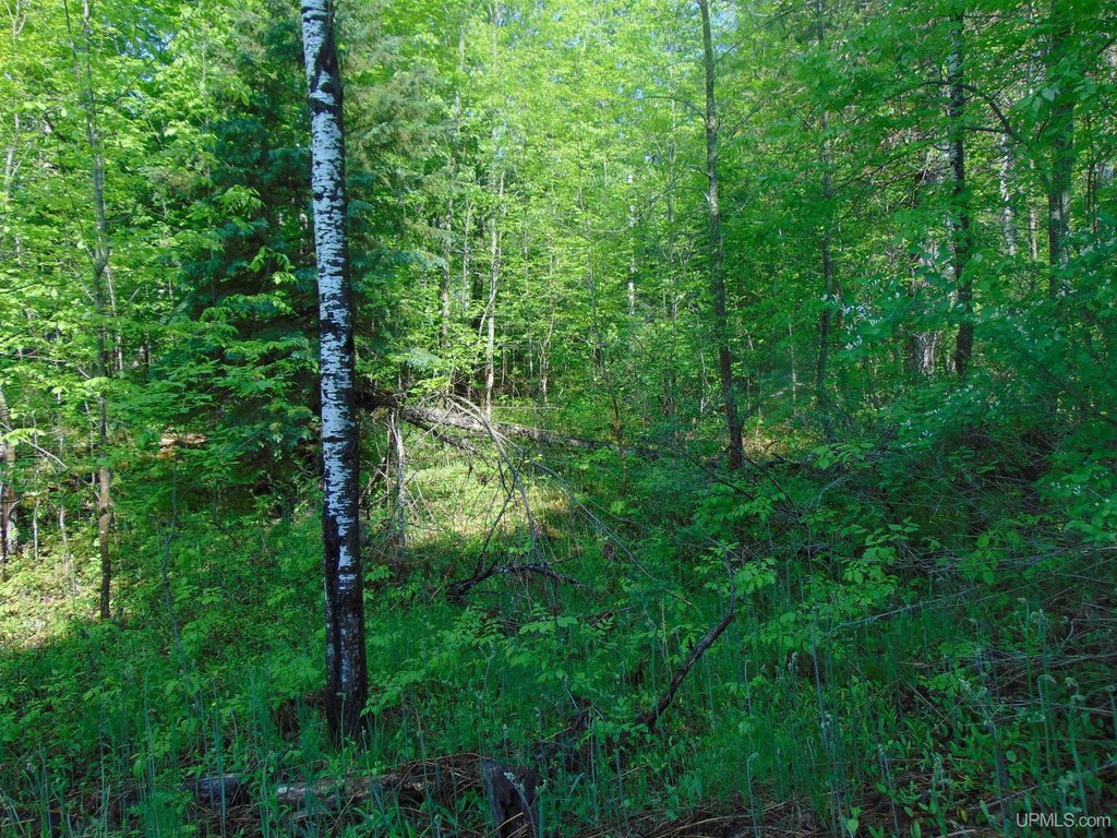 Picture 10