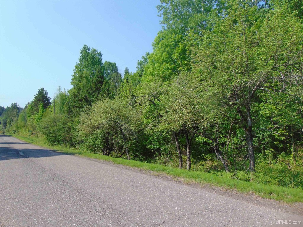 Picture 18