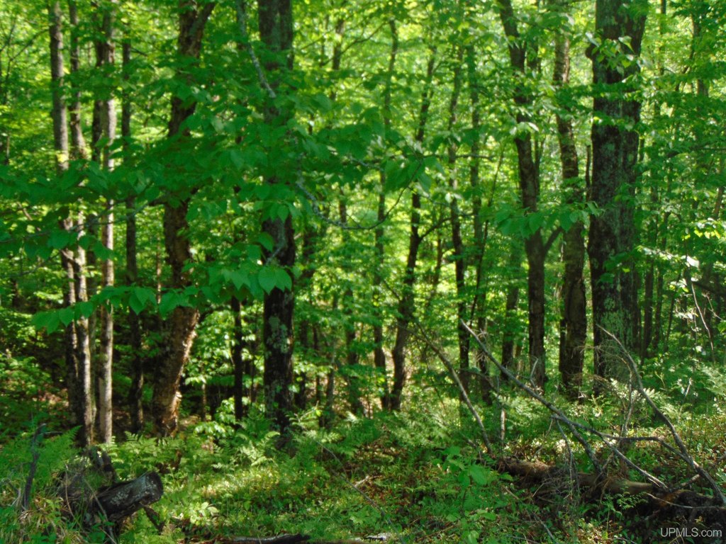 Picture 20