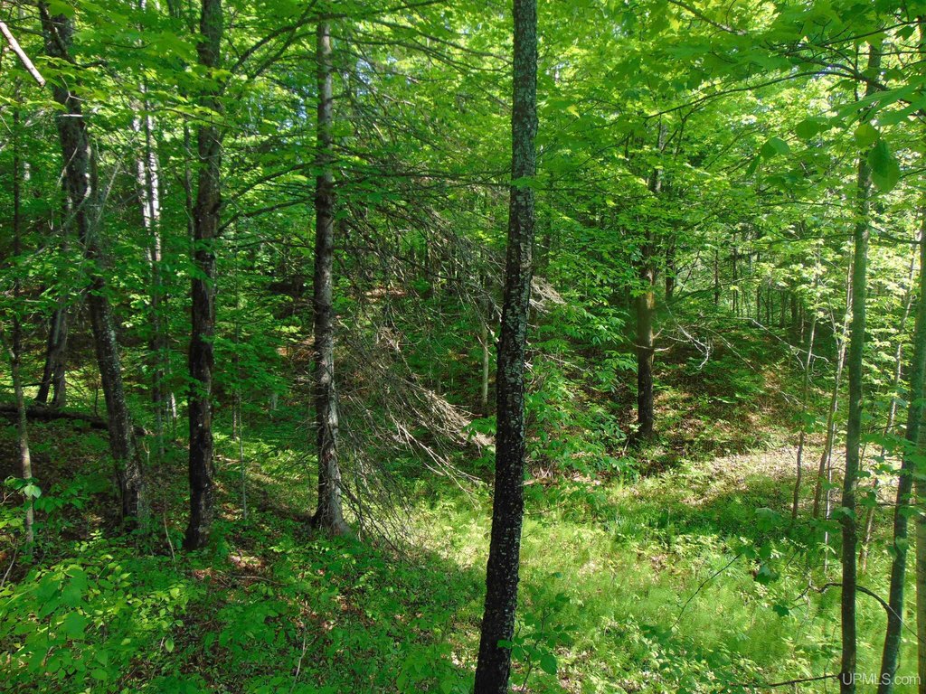 Picture 6
