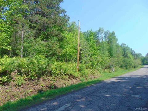 Vacant Land in Alston