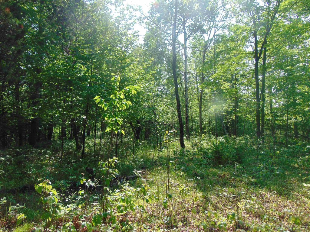 Picture 16