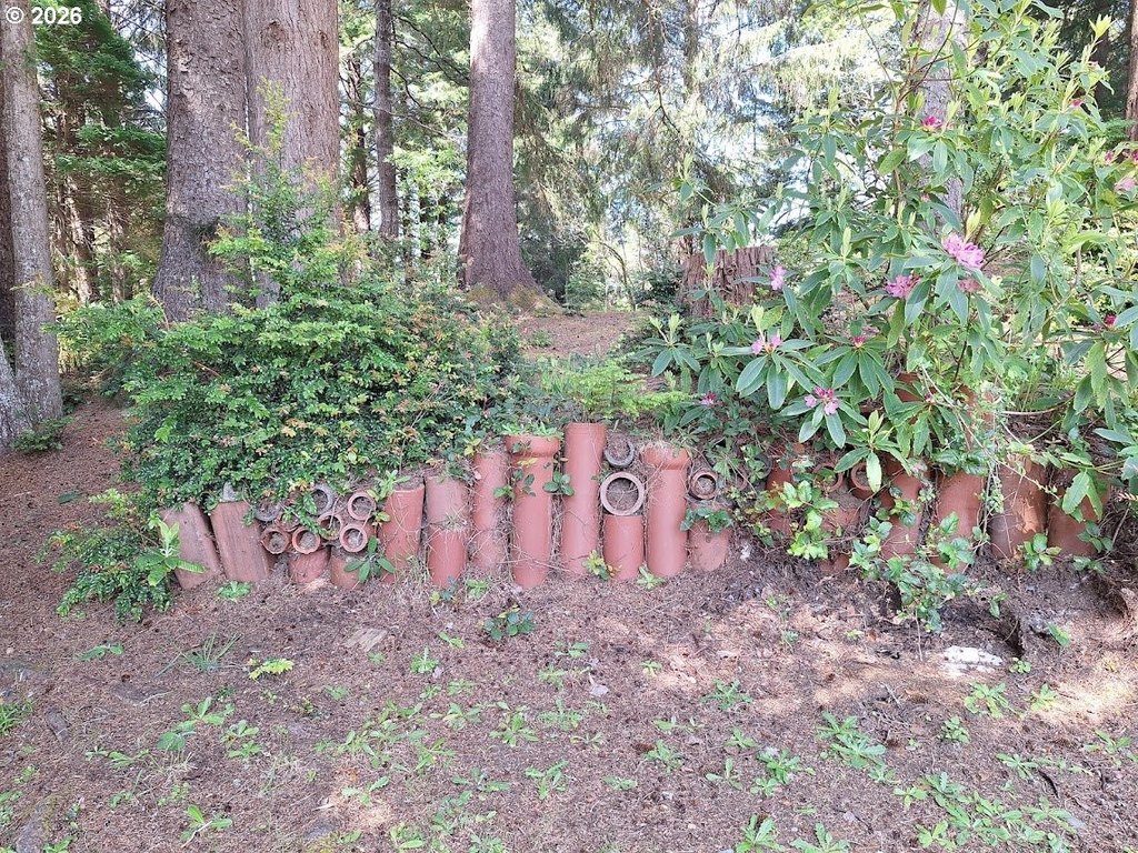 Picture 12