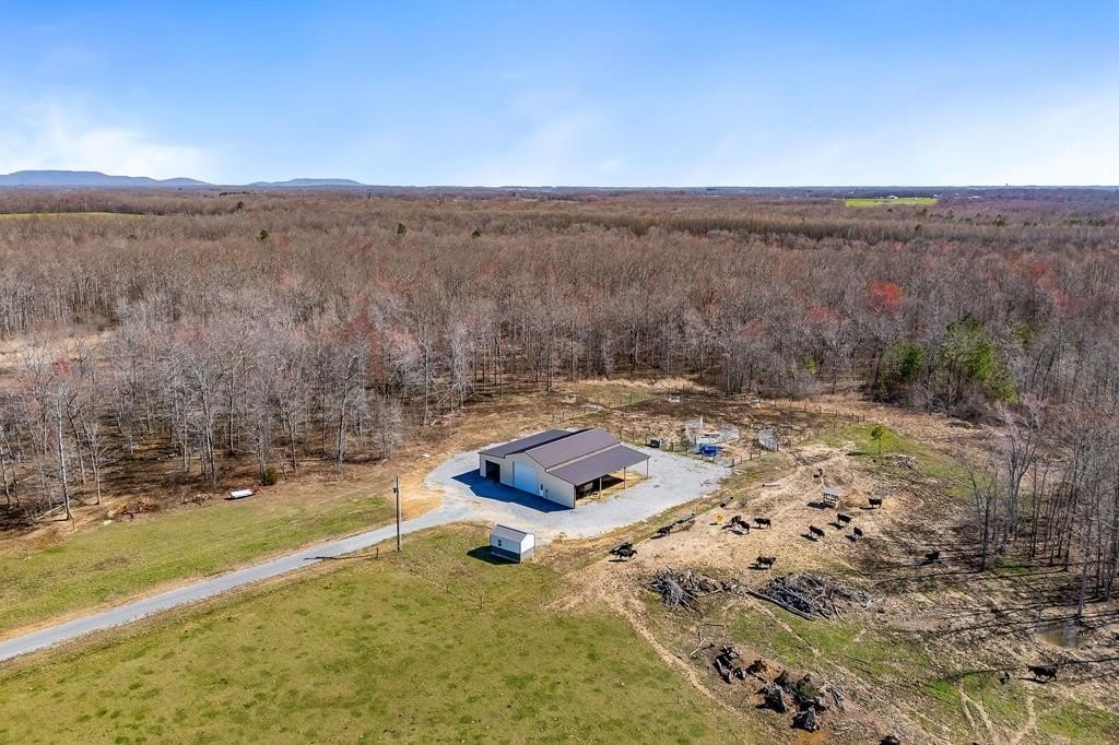 Bradyville, TN Land Opportunity