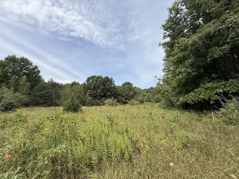Land, Sawyer, MI