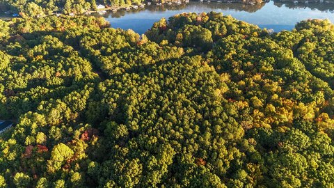 Land, Bracey, VA