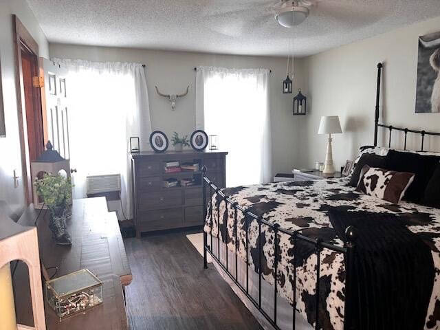 Picture 11