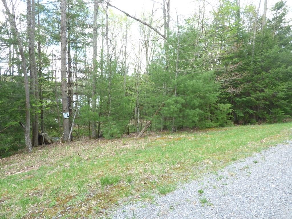 Picture 4