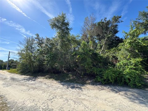 Quarter-Acre Residential Lot