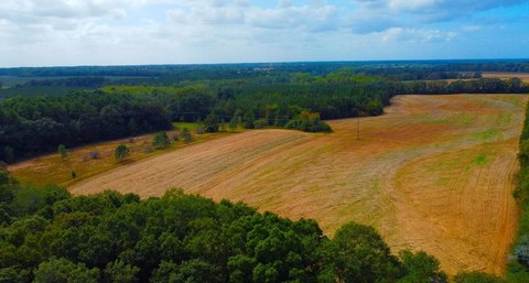 Headland, AL Residential Homesite