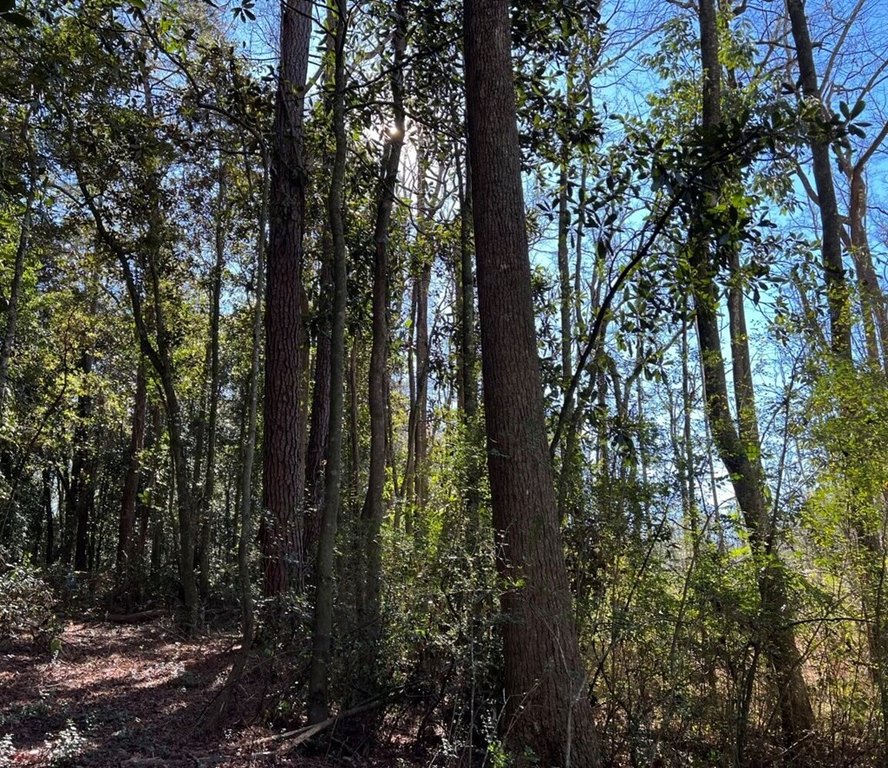 Picture 16
