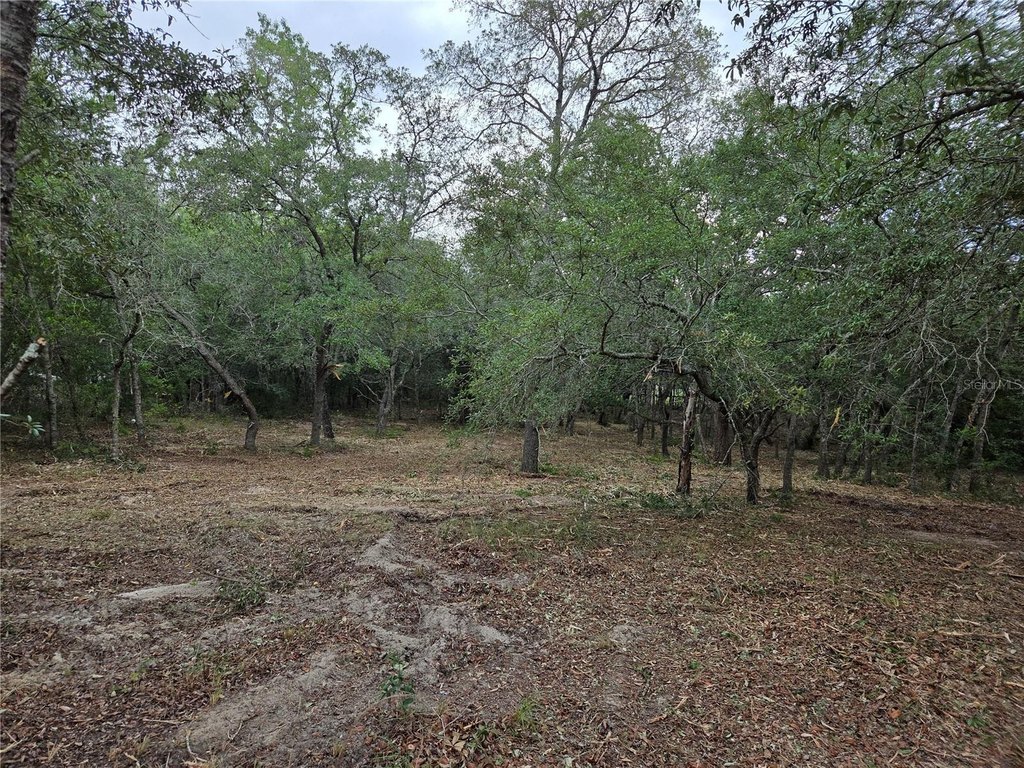 Picture 6