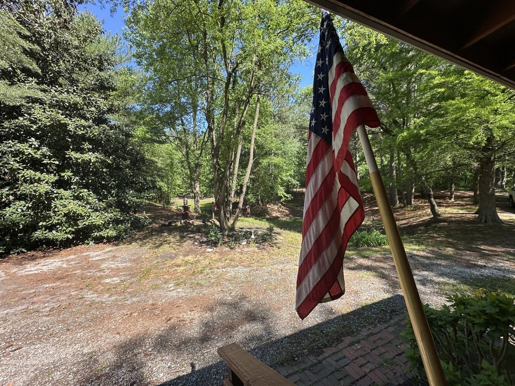 Picture 42