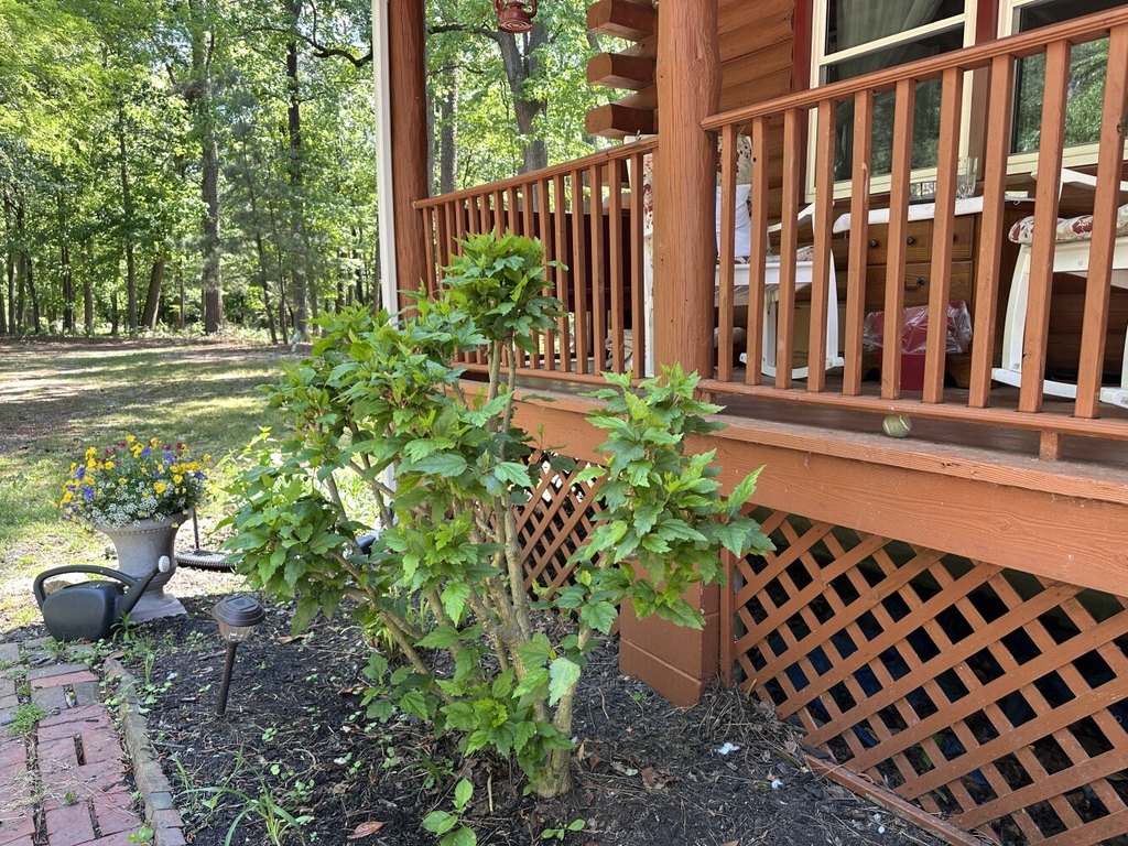 Picture 36
