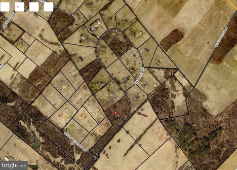 Approved Lot in Tavistock Estates