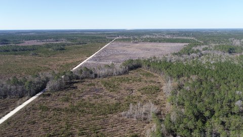 Timber and Hunting Land Tract
