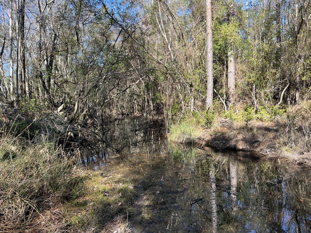 Picture 26