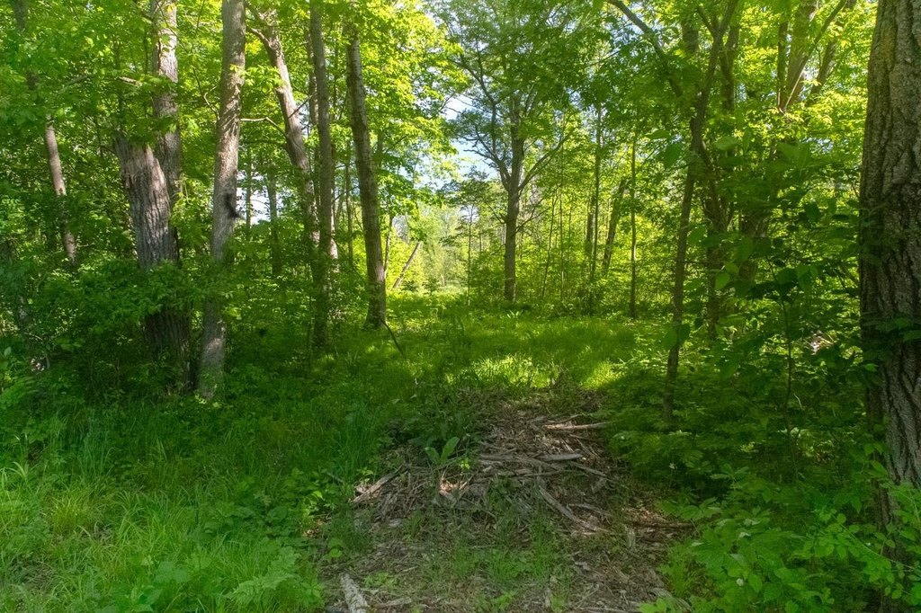 Picture 11