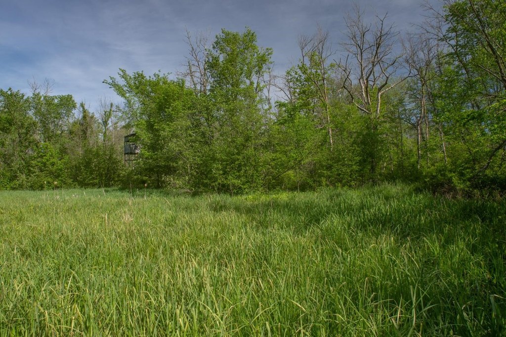 Picture 12