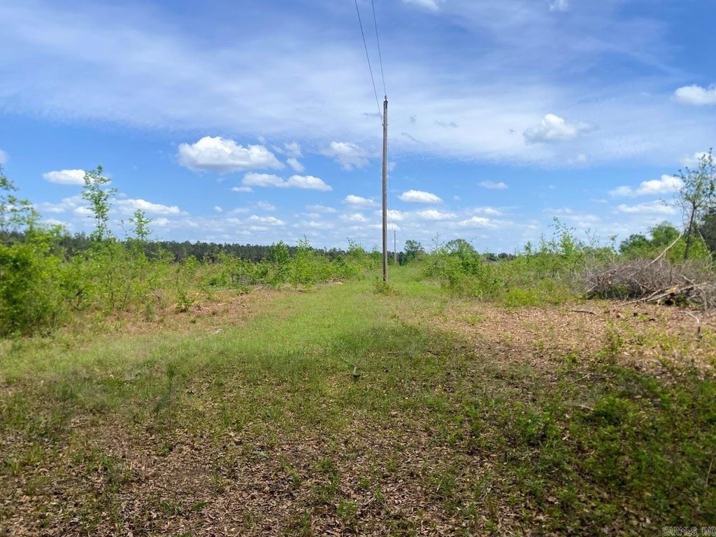 Picture 15