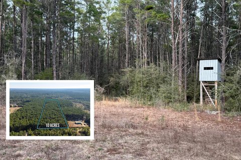 Wooded Hunting Land