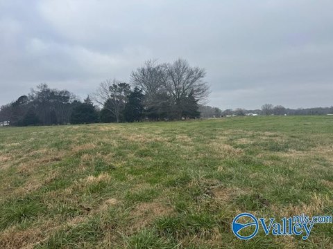 Elkmont Commercial Land For Sale