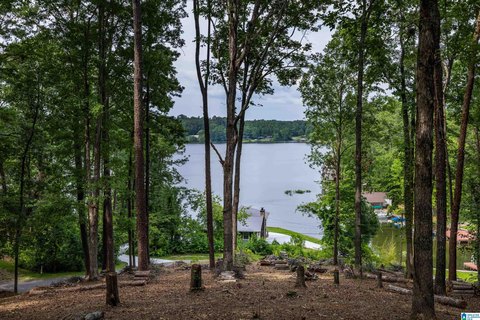 LAND - ONEONTA, AL