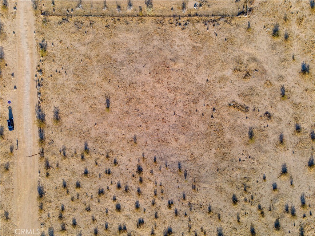 Picture 3