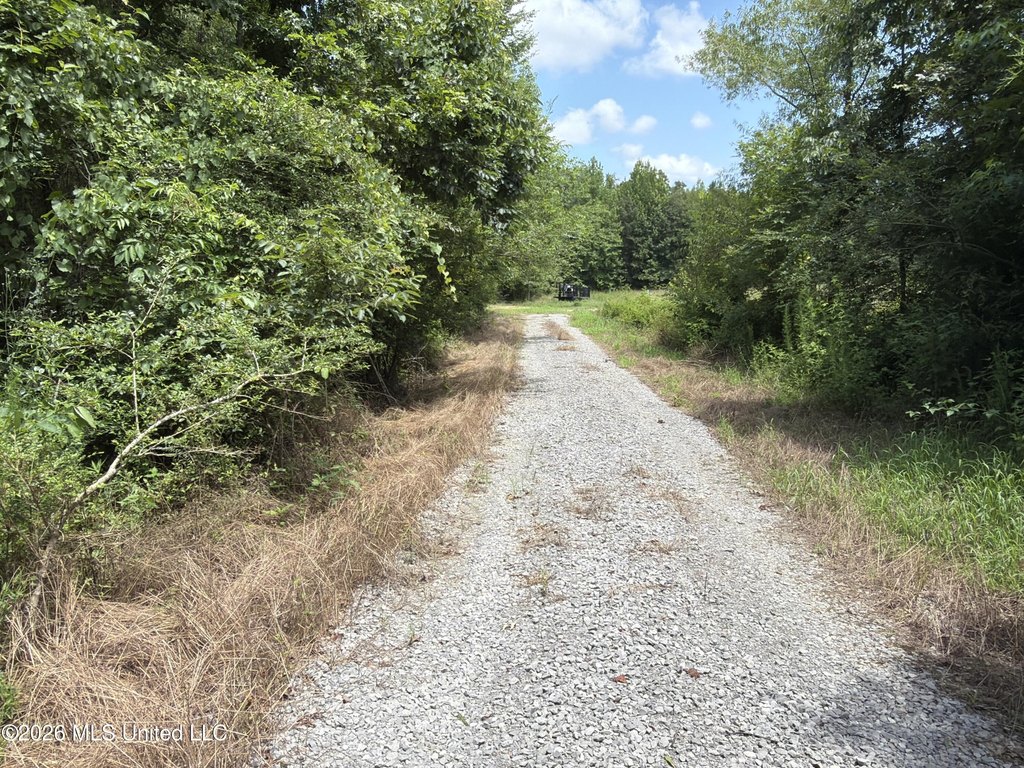 Picture 22