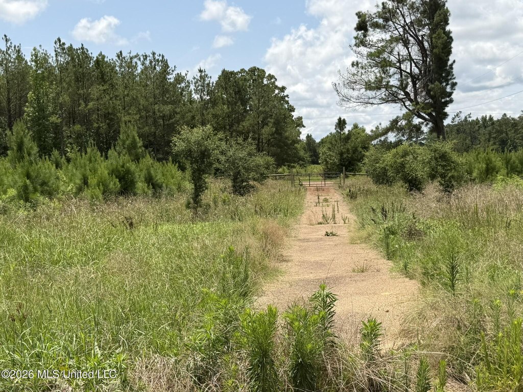 Picture 52