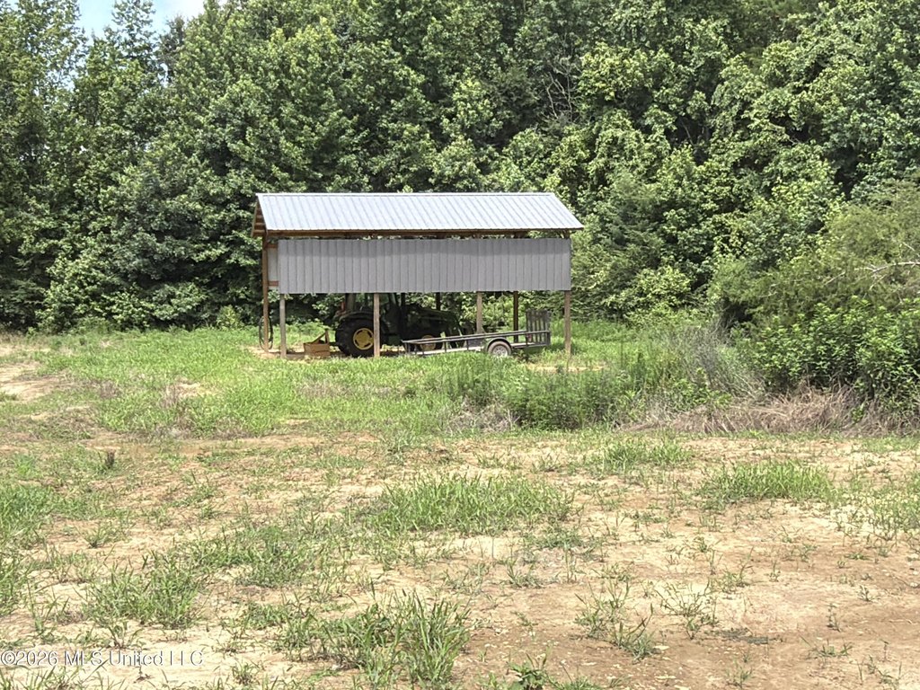 Picture 26