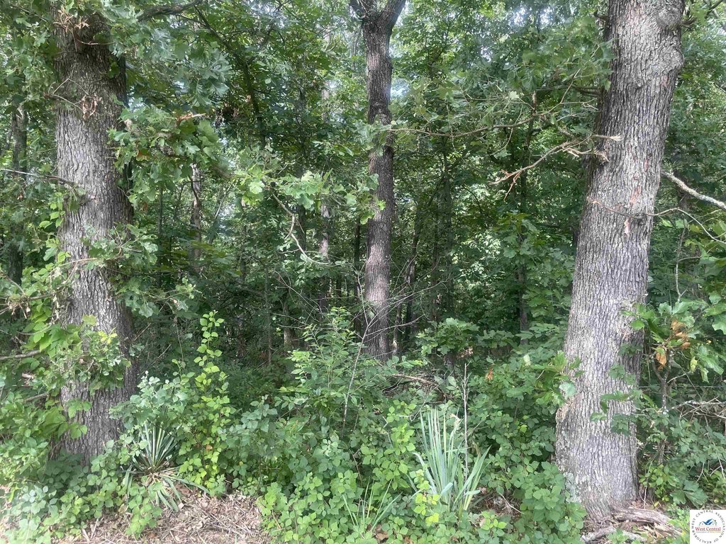 Picture 8
