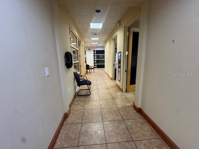 Picture 20