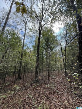 LAND - LINCOLN, AL