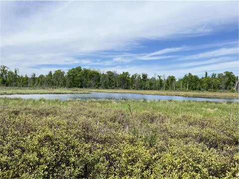 Waterfront Hunting and Cabin Site Land