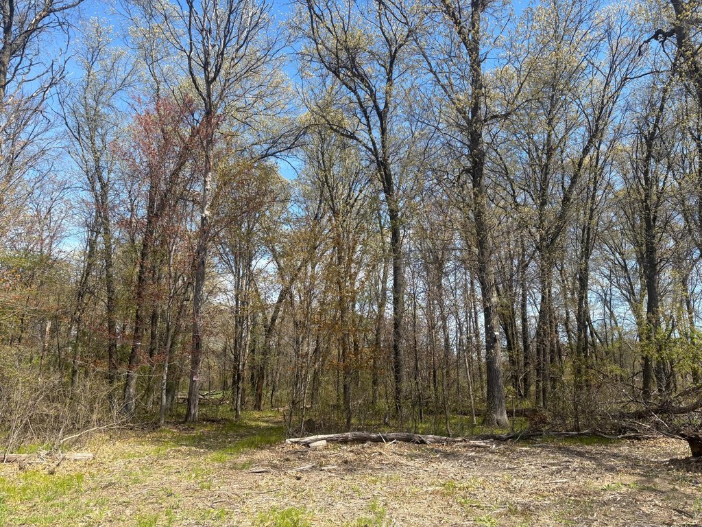 Picture 2