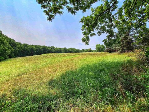 LAND - LAKE CARROLL, IL