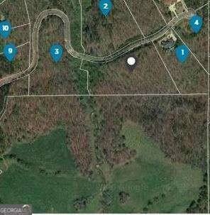 Picture of Residential land & home lots at Hawks Ridge Dr 710, Ball Ground, GA