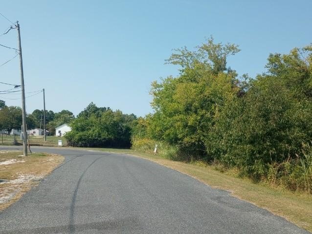 Picture 5