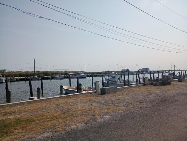 Picture 8