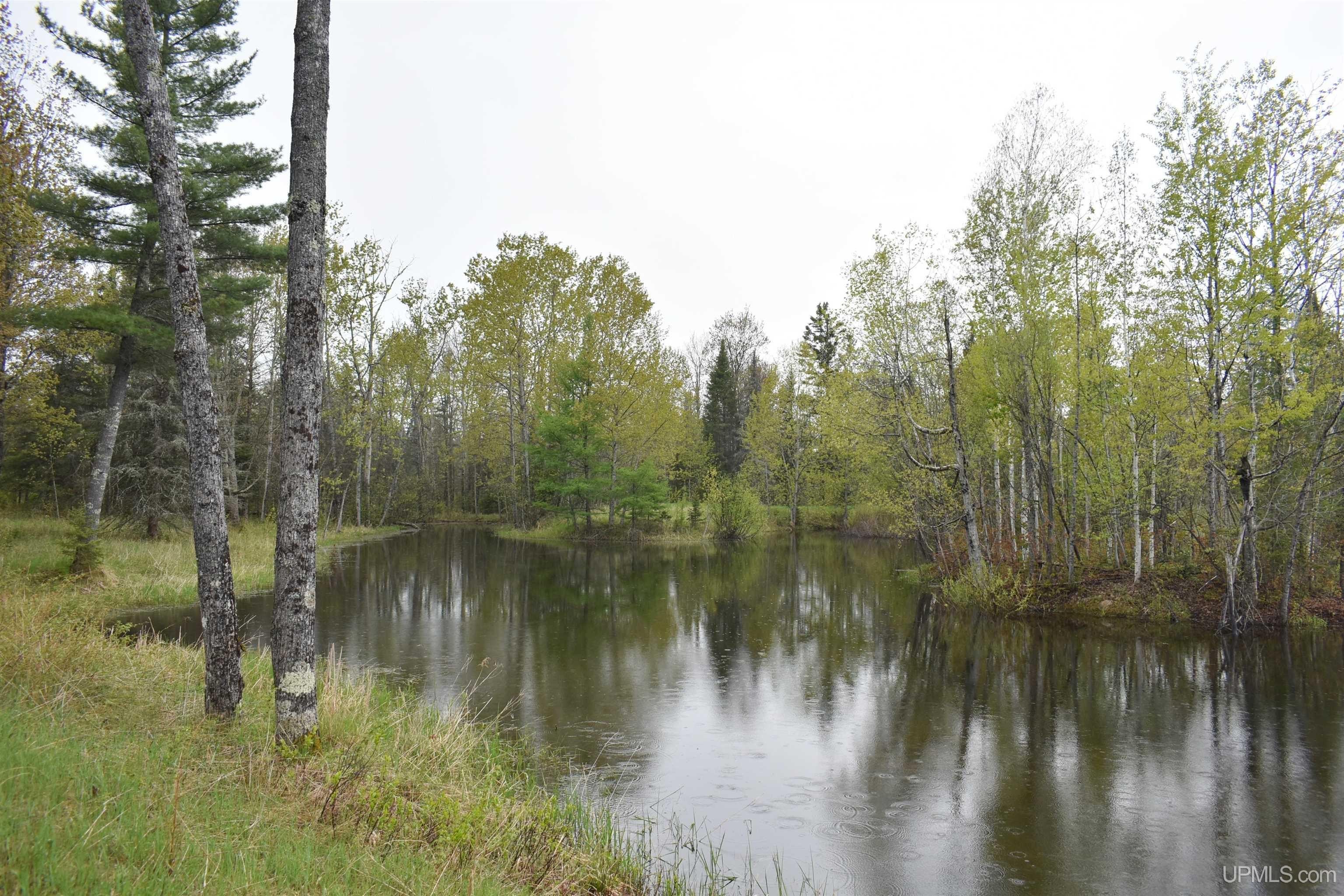 Perronville Land with Cabin