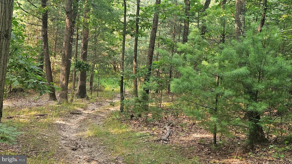 Picture 8