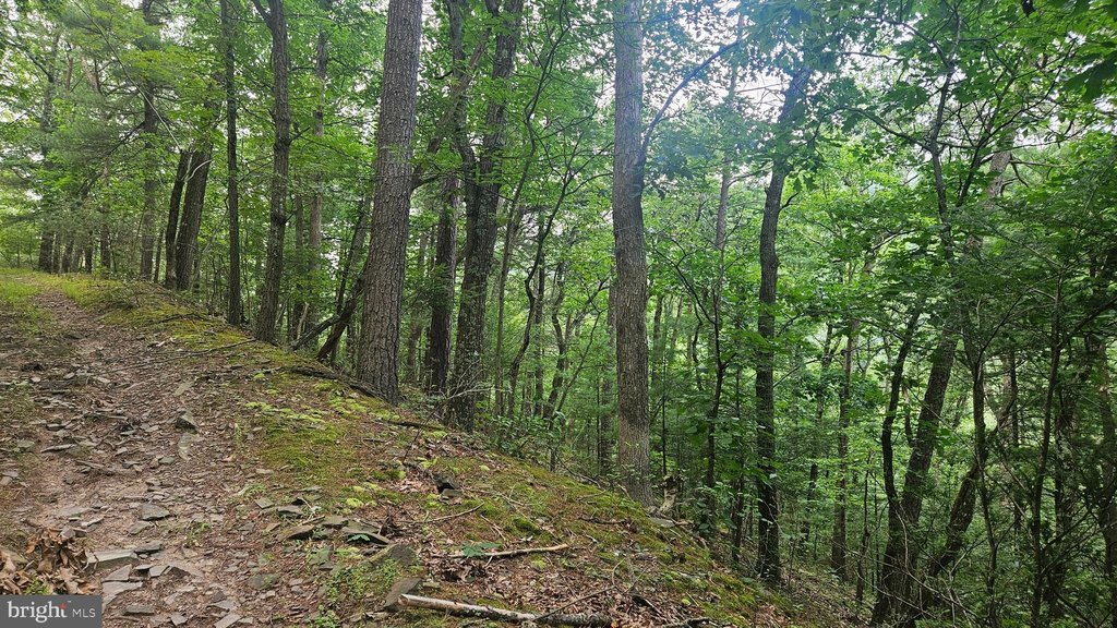 Picture 4